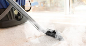 Carpet Steam Cleaning