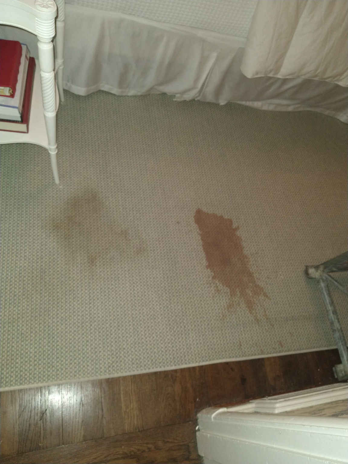 Expert Carpet Cleaning & Rug Cleaning in Herndon, VA